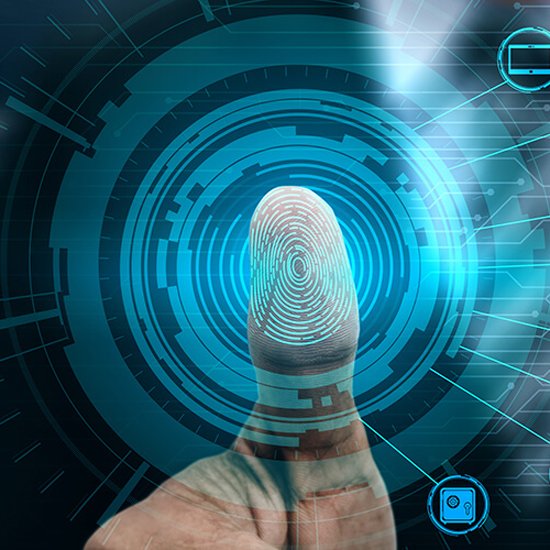 Managed Website Defense